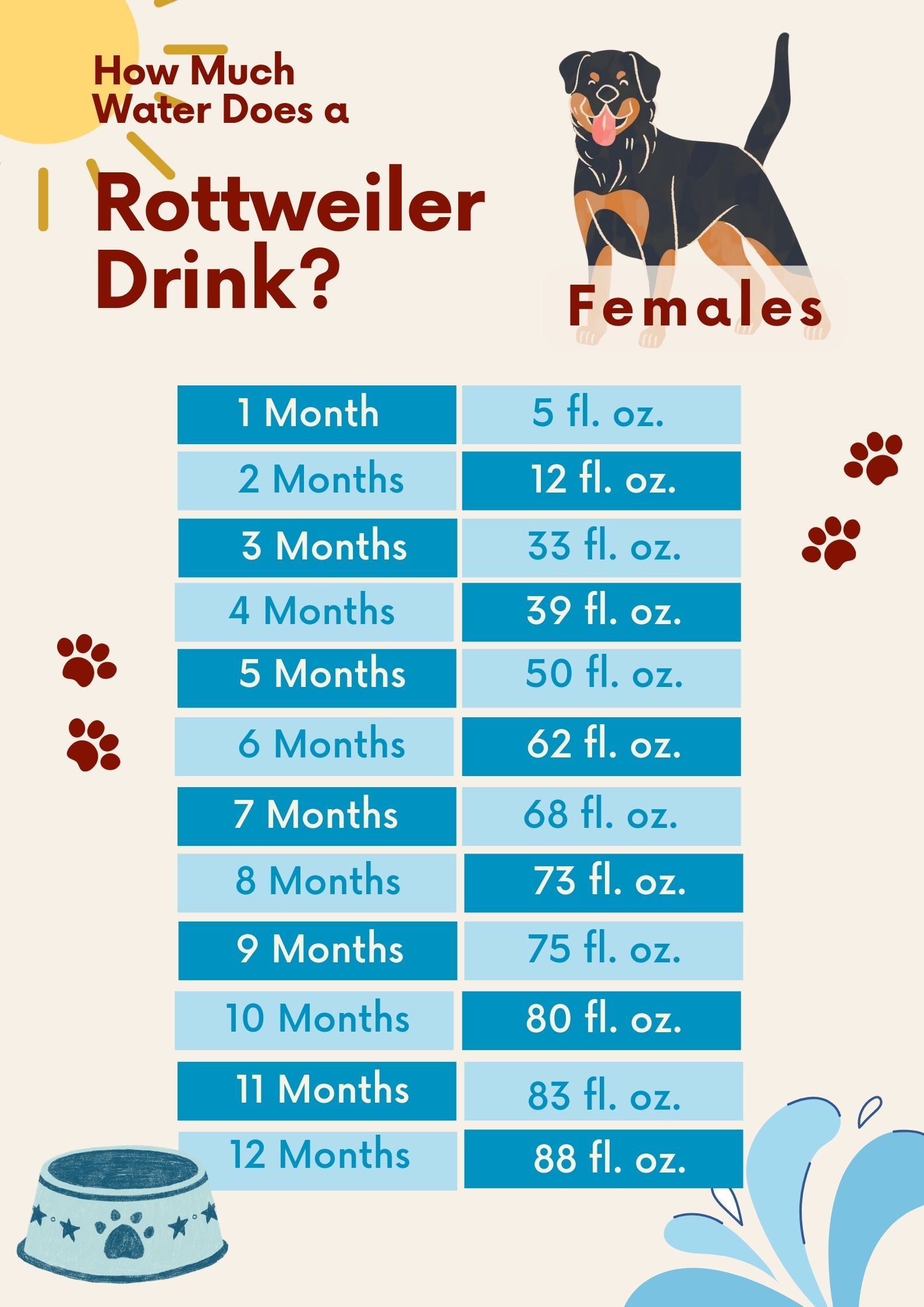 How Much Does A Rottweiler Drink