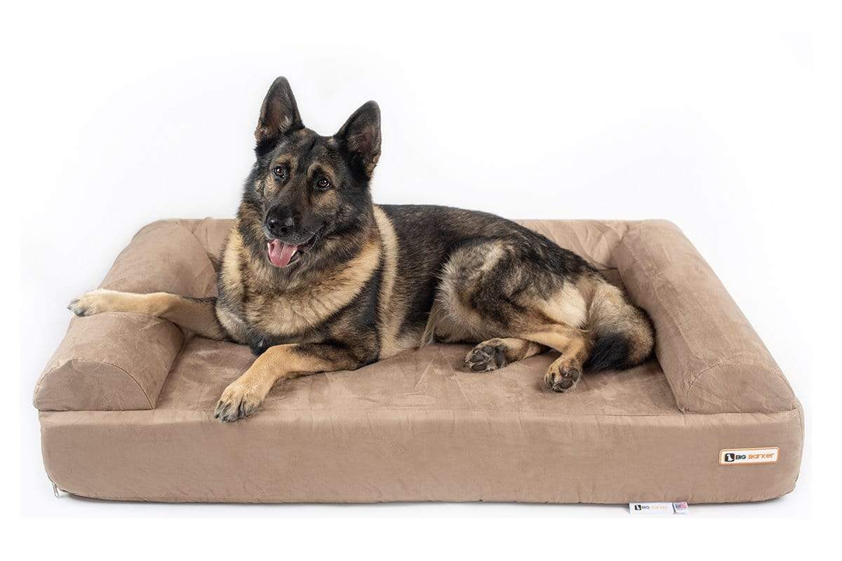 Best Dog Bed for Your Rottweiler + What You Should Look For