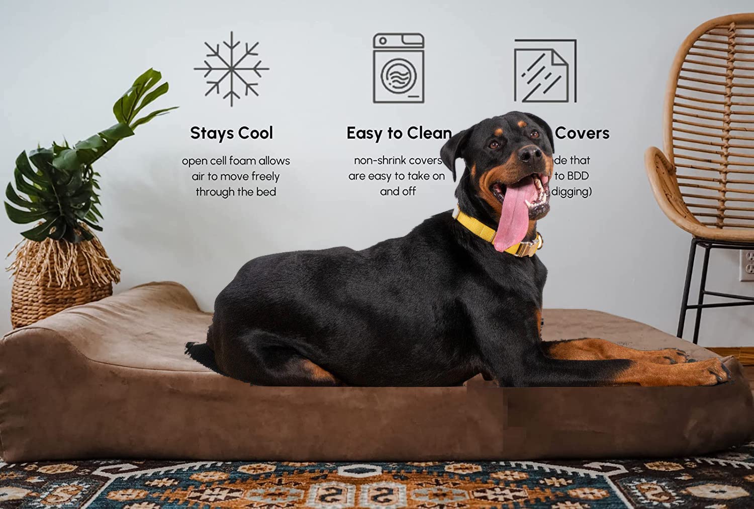 Best Dog Bed for Your Rottweiler + What You Should Look For